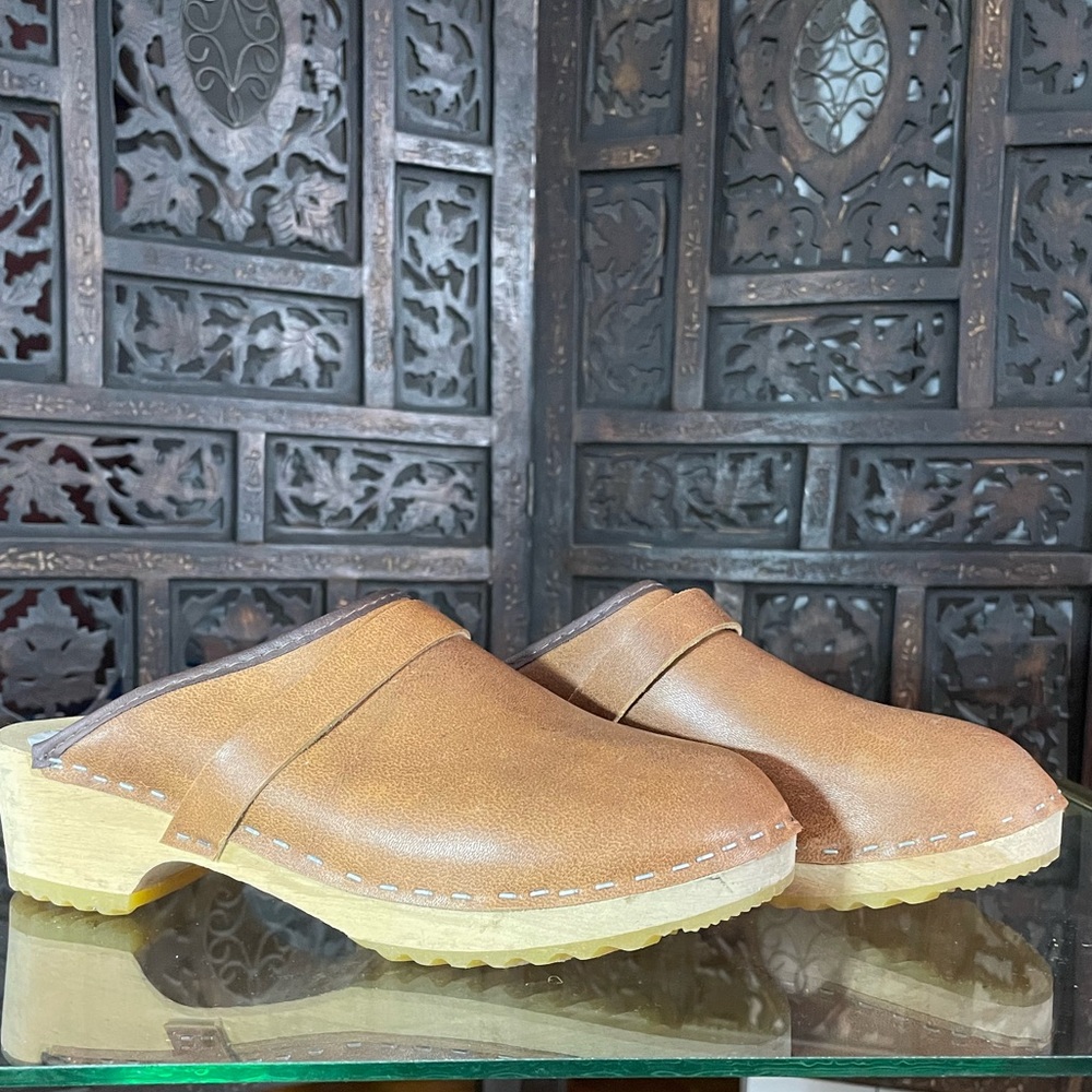 Orthopaedic Clogs